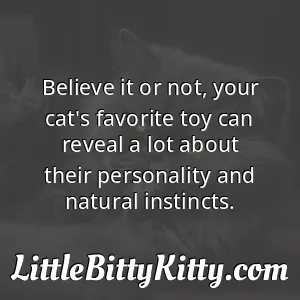 Believe it or not, your cat's favorite toy can reveal a lot about their personality and natural instincts.