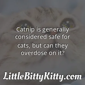 Catnip is generally considered safe for cats, but can they overdose on it?