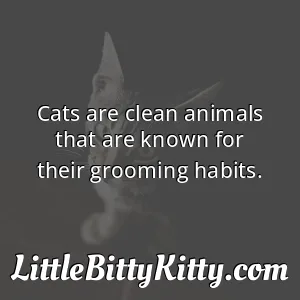 Cats are clean animals that are known for their grooming habits.