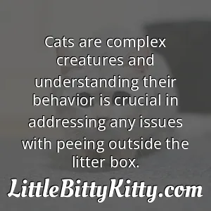 Cats are complex creatures and understanding their behavior is crucial in addressing any issues with peeing outside the litter box.