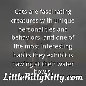 Cats are fascinating creatures with unique personalities and behaviors, and one of the most interesting habits they exhibit is pawing at their water bowls.