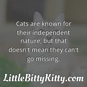 Cats are known for their independent nature, but that doesn't mean they can't go missing.