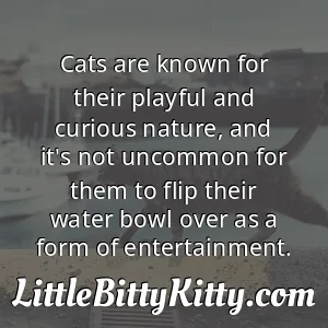 Cats are known for their playful and curious nature, and it's not uncommon for them to flip their water bowl over as a form of entertainment.