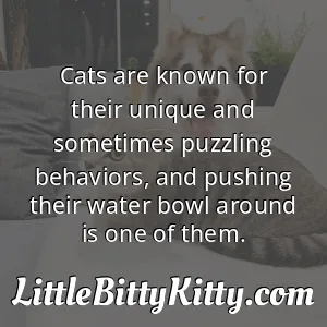 Cats are known for their unique and sometimes puzzling behaviors, and pushing their water bowl around is one of them.