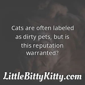 Cats are often labeled as dirty pets, but is this reputation warranted?