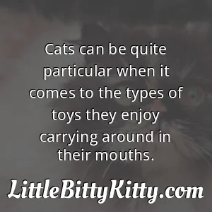 Cats can be quite particular when it comes to the types of toys they enjoy carrying around in their mouths.