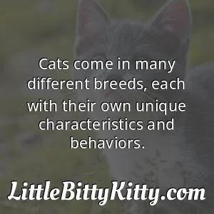 Cats come in many different breeds, each with their own unique characteristics and behaviors.