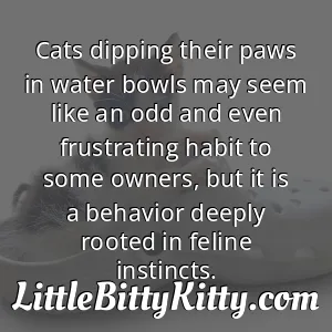 Cats dipping their paws in water bowls may seem like an odd and even frustrating habit to some owners, but it is a behavior deeply rooted in feline instincts.