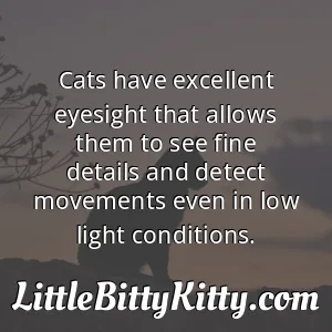 Cats have excellent eyesight that allows them to see fine details and detect movements even in low light conditions.