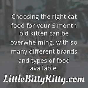 Choosing the right cat food for your 5 month old kitten can be overwhelming, with so many different brands and types of food available.