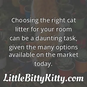 Choosing the right cat litter for your room can be a daunting task, given the many options available on the market today.