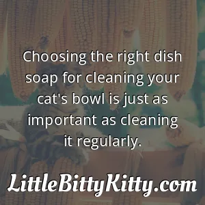 Choosing the right dish soap for cleaning your cat's bowl is just as important as cleaning it regularly.