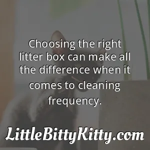 Choosing the right litter box can make all the difference when it comes to cleaning frequency.