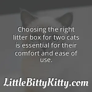 Choosing the right litter box for two cats is essential for their comfort and ease of use.