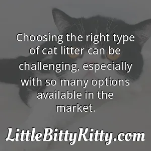 Choosing the right type of cat litter can be challenging, especially with so many options available in the market.