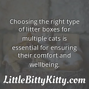 Choosing the right type of litter boxes for multiple cats is essential for ensuring their comfort and wellbeing.
