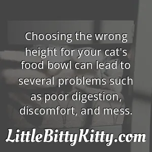 Choosing the wrong height for your cat's food bowl can lead to several problems such as poor digestion, discomfort, and mess.