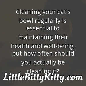 Cleaning your cat's bowl regularly is essential to maintaining their health and well-being, but how often should you actually be cleaning it?