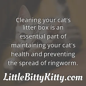 Cleaning your cat's litter box is an essential part of maintaining your cat's health and preventing the spread of ringworm.