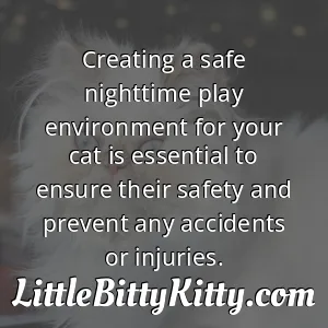 Creating a safe nighttime play environment for your cat is essential to ensure their safety and prevent any accidents or injuries.