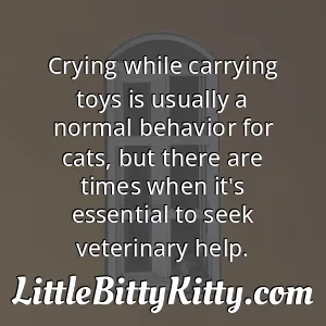 Crying while carrying toys is usually a normal behavior for cats, but there are times when it's essential to seek veterinary help.