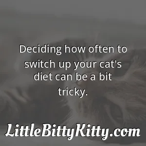 Deciding how often to switch up your cat's diet can be a bit tricky.