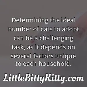 Determining the ideal number of cats to adopt can be a challenging task, as it depends on several factors unique to each household.