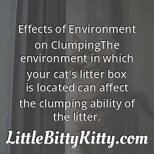 Effects of Environment on ClumpingThe environment in which your cat's litter box is located can affect the clumping ability of the litter.