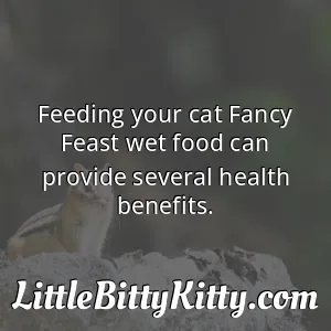 Feeding your cat Fancy Feast wet food can provide several health benefits.