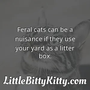 Feral cats can be a nuisance if they use your yard as a litter box.