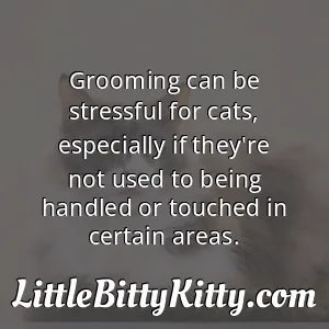 Grooming can be stressful for cats, especially if they're not used to being handled or touched in certain areas.