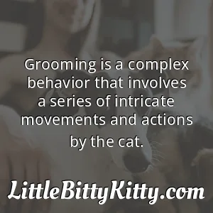 Grooming is a complex behavior that involves a series of intricate movements and actions by the cat.