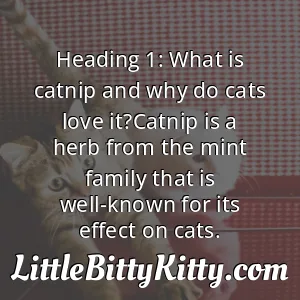 Heading 1: What is catnip and why do cats love it?Catnip is a herb from the mint family that is well-known for its effect on cats.