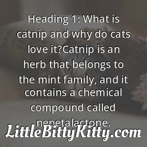 Heading 1: What is catnip and why do cats love it?Catnip is an herb that belongs to the mint family, and it contains a chemical compound called nepetalactone.