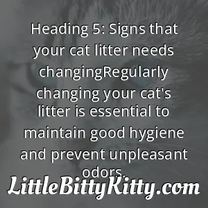 Heading 5: Signs that your cat litter needs changingRegularly changing your cat's litter is essential to maintain good hygiene and prevent unpleasant odors.