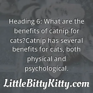 Heading 6: What are the benefits of catnip for cats?Catnip has several benefits for cats, both physical and psychological.
