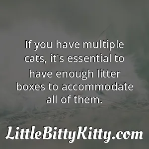 If you have multiple cats, it's essential to have enough litter boxes to accommodate all of them.