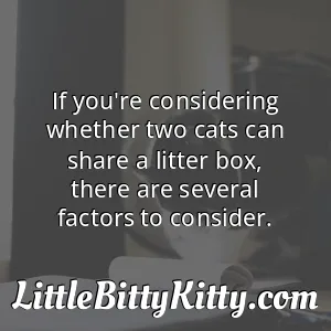 If you're considering whether two cats can share a litter box, there are several factors to consider.