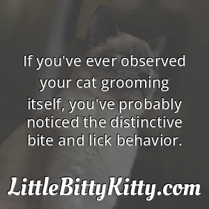 If you've ever observed your cat grooming itself, you've probably noticed the distinctive bite and lick behavior.