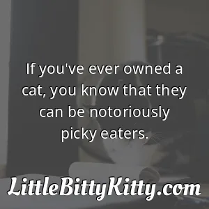 If you've ever owned a cat, you know that they can be notoriously picky eaters.