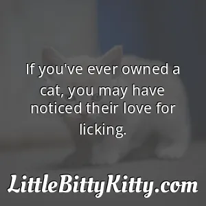 If you've ever owned a cat, you may have noticed their love for licking.