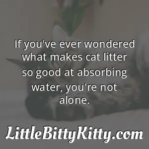 If you've ever wondered what makes cat litter so good at absorbing water, you're not alone.