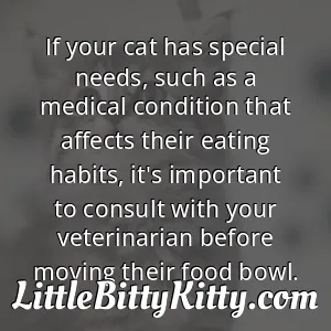 If your cat has special needs, such as a medical condition that affects their eating habits, it's important to consult with your veterinarian before moving their food bowl.