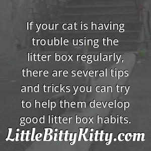 If your cat is having trouble using the litter box regularly, there are several tips and tricks you can try to help them develop good litter box habits.