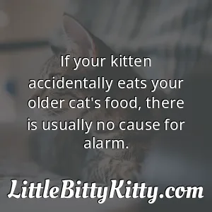 If your kitten accidentally eats your older cat's food, there is usually no cause for alarm.