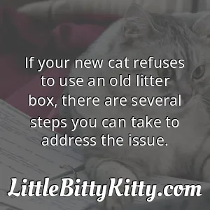 If your new cat refuses to use an old litter box, there are several steps you can take to address the issue.