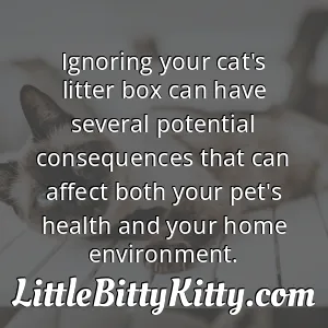 Ignoring your cat's litter box can have several potential consequences that can affect both your pet's health and your home environment.