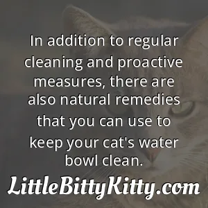 In addition to regular cleaning and proactive measures, there are also natural remedies that you can use to keep your cat's water bowl clean.