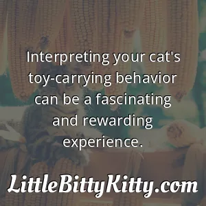 Interpreting your cat's toy-carrying behavior can be a fascinating and rewarding experience.