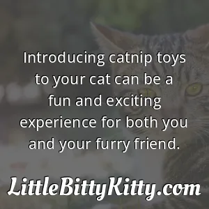 Introducing catnip toys to your cat can be a fun and exciting experience for both you and your furry friend.
